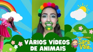 Músicas de animais  Professora Sara do Vale  PARTE 1 Vários vídeos juntos [upl. by Nylemaj]