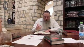 Afternoon Chassidus with Rabbi Shalom Pasternak of Yeshiva Temimei Darech YTD [upl. by Eisaj]