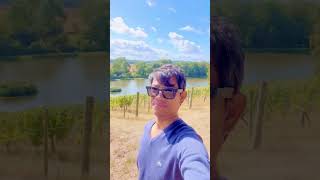 Vineyard vineyard view uk ytshorts [upl. by Eresed901]