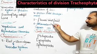 Characteristics of division Tracheophyte class 11 [upl. by Rosabelle]