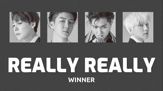 REALLY REALLY  WINNER 【和訳  カナルビ  歌詞  日本語字幕】 [upl. by Aihsekin226]