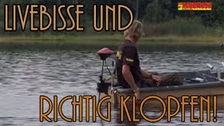 Welse klopfen  Die richtige Technik [upl. by Iva]