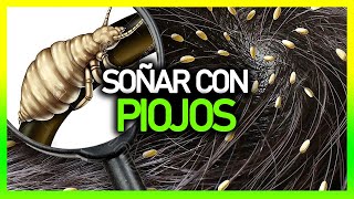 ► Qué significa SOÑAR CON PIOJOS 😨  Significado de los Sueños 💤 [upl. by Lupe]