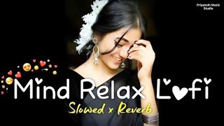 💘Mind Relaxing Love Songs 2024 🌼🌺 Mind Relax Lofi Mashup 2024  Hindi Mind relaxing [upl. by Karlyn168]