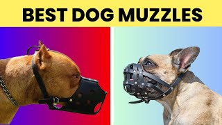 Muzzle Training Your Dog  The Battersea Way [upl. by Arag29]