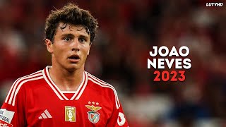 João Neves 2023  Amazing Skills Goals amp Assists  HD [upl. by Butch841]