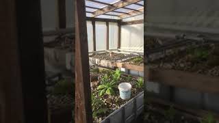 Solar self sustained aquaponics diy aeration [upl. by Rocray999]