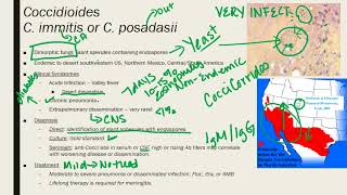 Coccidioides ParacoccidioidesTalaromycosis Penicillium [upl. by Meuse]