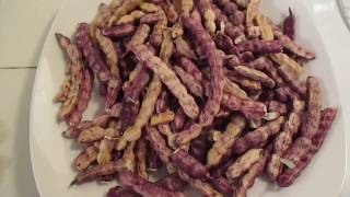 Beneficios de los Mesquites y Como Cocinarlos ya Secos [upl. by Oliviero275]