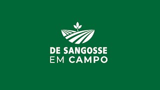 Programa De Sangosse em Campo [upl. by Yecaj]