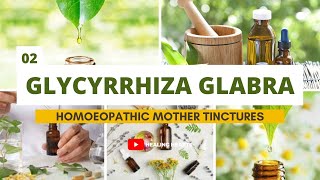 Glycirrhiza Glabra amp its uses  Homoeopathic Mother Tincture  Dr Gopal Lohiya homoeopathy [upl. by Oicnedif]