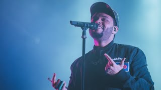 The Weeknd  Live at Lollapalooza Brazil 2017 [upl. by Ayamat]