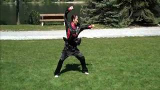 Shaolin Kung Fu Beginner  Beginner Kung Fu Form [upl. by Mayfield]