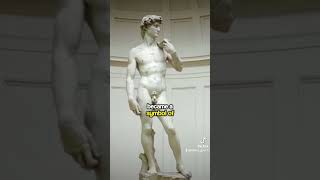 1504 Michelangelo David Statue put up [upl. by Eiramave]