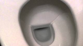 HCG washdown toilet with HCG bidet [upl. by Liv622]