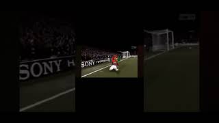 Knee slides [upl. by Unhsiv]