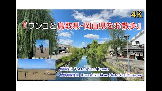 【Walk around Tottori and Okayama prefectures with your dog ワンコと鳥取県・岡山県をお散歩】 [upl. by Katlaps481]