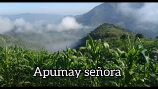 SANJUANITO ECUATORIANO  APUMAY SEÑORA [upl. by Nehemiah]