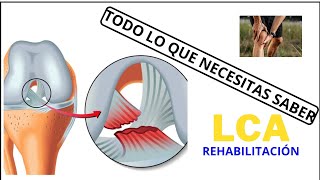 APRENDE TODO sobre la REHABILITACIÓN de la LESIÓN de LIGAMENTO CRUZADO ANTERIOR [upl. by Cahn894]