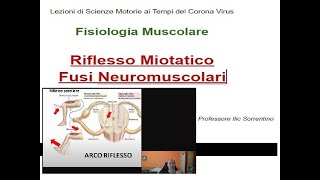 Fisiologia Muscolare  Riflesso Miotatico  Lezioni di Scienze Motorie ai Tempi del Corona Virus [upl. by Sadnalor]