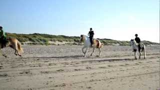 Strandritt renesse strandrit manege grol [upl. by Aubine]