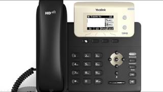 T21P E2 IP Phone  Call Transfer [upl. by Paryavi]