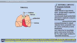 Lecția 28 Sistemul limfatic și imunitatea [upl. by Jennifer910]
