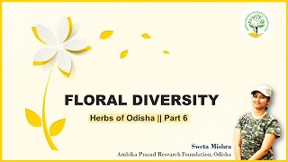 Floral diversity  Part 6  Lamiaceae  Ambika Prasad Research Foundation [upl. by Raji]