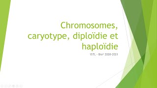 Chromosomes caryotype diploïdie et haploïdie [upl. by Sseb]