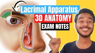 lacrimal apparatus anatomy 3d  anatomy of lacrimal apparatus  lacrimal gland anatomy [upl. by Erda248]