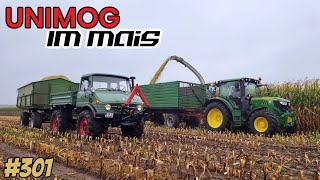 Mein UNIMOG 406 im MAIS 🤯  Dreckig aber Geil  vlog 301 Steelstyler  FUN in 4K [upl. by Lihka82]