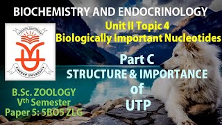 UNIT II TOPIC 4 PART C  STRUCTURE AND IMPORTANCE OF UTP [upl. by Madai]