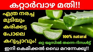 വെളുത്ത മുടി ബ്രൗൺ ആകാതെ കട്ടക്കറുപ്പാവും  Homemade hairdye pack  Black amp strong hairDIY hair dye [upl. by Ztnarf]