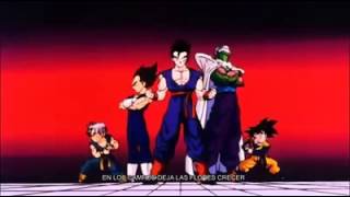 Dragon ball z cancion [upl. by Haem]