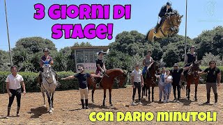 STAGE DI EQUITAZIONE con il mio nuovo cavallo🤩 [upl. by Aleit673]