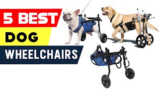 Top 5 Dog Wheelchairs  2024s Game Changing Mobility Solutions [upl. by Dafna]