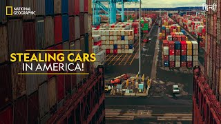 Stealing Cars in America  Trafficked with Mariana Van Zeller  हिन्दी  National Geographic [upl. by Berliner]