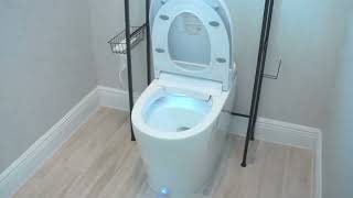 DeerValley Smart Toilet ADA Height One Piece Tankless Toilet with Bidet Built in Smart Bidet Toilet [upl. by Musser122]