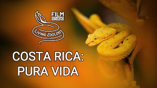 Costa Rica Pura Vida  wildlife diversity documentary Living Zoology film studio [upl. by Oznol736]