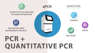 3 Polymerase Chain Reaction PCR  Quantitative PCR qPCR [upl. by Eduam]