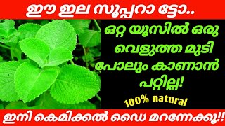 ഇനി നരച്ച മുടി ഒന്ന് പോലും കാണാൻ പറ്റില്ല  Diy hairdye  Natural hair dye  Hair growing tips Tips [upl. by Latsyrc]