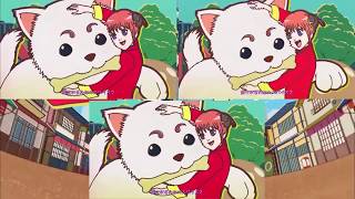 Gintama Opening 16 All Version comparison [upl. by Nerek]