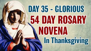 54 Day Rosary Novena Day 35 💜Glorious Mysteries [upl. by Sedgewinn]