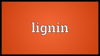 Lignin Meaning [upl. by Chick]