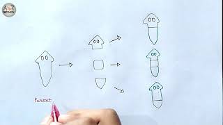 Regeneration in Planaria  Fragmentation in Planaria Diagram  Biology Diagram [upl. by Elik]