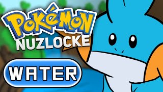 I attempted a Monotype Hardcore Nuzlocke [upl. by Ciapha853]