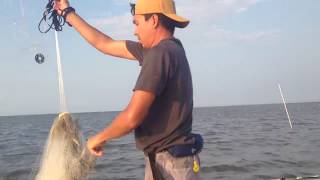 Shrimping in Winyah Bay [upl. by Hancock]