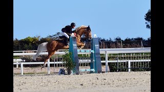 GPA Jump Festival de Cagnes sur Mer  115 [upl. by Aihsoek753]