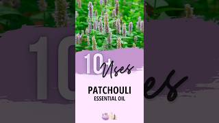 Patchouli Essential Oil Uses  Essential Oils Education [upl. by Remle]