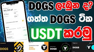 DOGS ගත්ත ටික USDT කරමු  DOGS airdrop withdraw proof  dogs airdrop sinhala [upl. by Ayatahs]